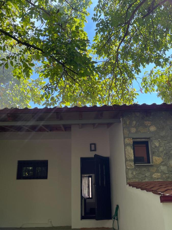 Stymfalia Cozy Village Guesthouse Karteri  المظهر الخارجي الصورة